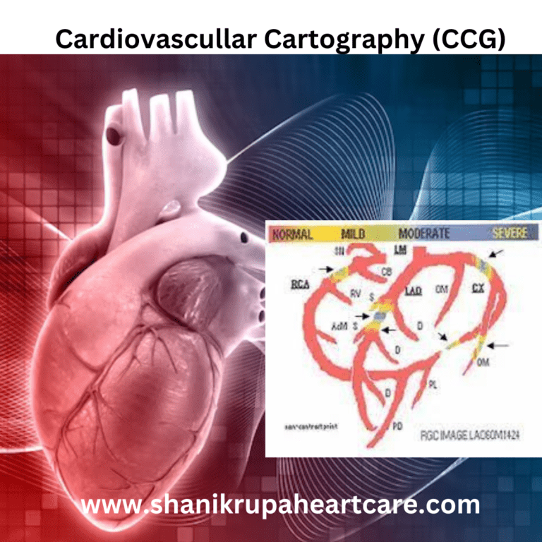 cardiovascular cartography